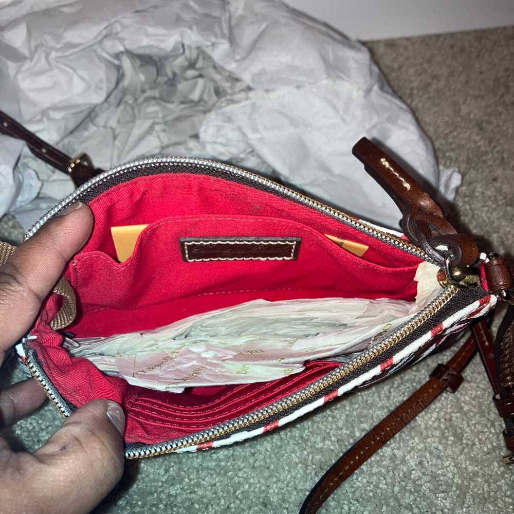 Stylish Brown and Red Women's Bag